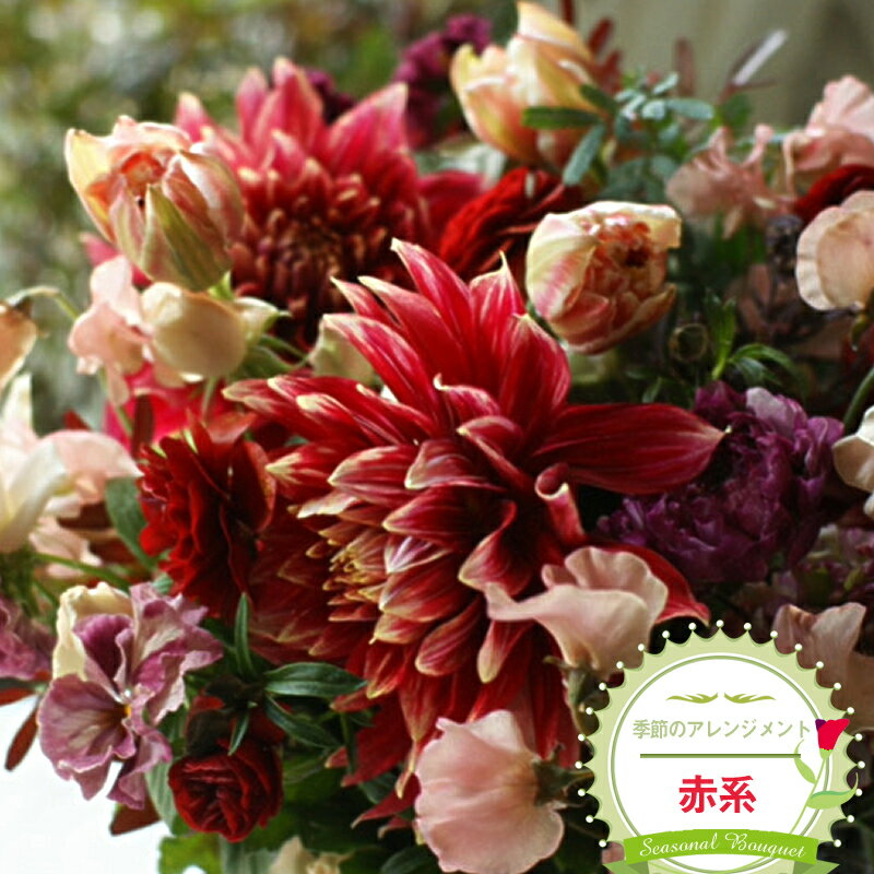 季節のアレンジメント(アレンジメント・生花:赤系) 事前やりとりしてのオーダーメイド。旬のお花と季節のグリーン、実物や枝物等を合わせてご用意いたします。[ 花束 アレンジメント 神奈川県 大磯町 ]