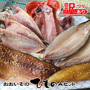 【ふるさと納税】おおいその干物Aセット/ 季節によって多少内容が変わる訳あり品 【 ひもの 魚 天日干し 神奈川県 大磯 湘南 特産品 神奈川県 大磯町 自家製干物 贈答品 地魚 大磯産 干物 父の日】
