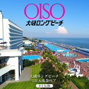 【ふるさと納税】大磯ロングビーチ 1日入場券ペア(おとな2枚)【 プール レジャー 神奈川県 大磯町 施設利用券 大人2人分 1日無料券 期間内サービス 券 施...