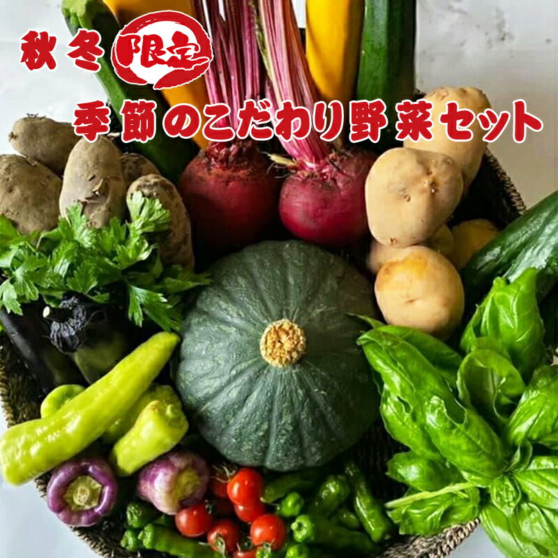 【ふるさと納税】【秋冬限定】季節のこだわり野菜セット 野菜詰め合わせ（ 秋の味覚 冬の味覚 かぼちゃ さつまいも）＜出荷時期：毎年10月1日～翌年3月31日ごろ＞【 神奈川県 大磯町 大根 白菜 かぶ 柿 レモン ネーブルオレンジ ハーブ ミント 季節野菜セット 新鮮野菜】