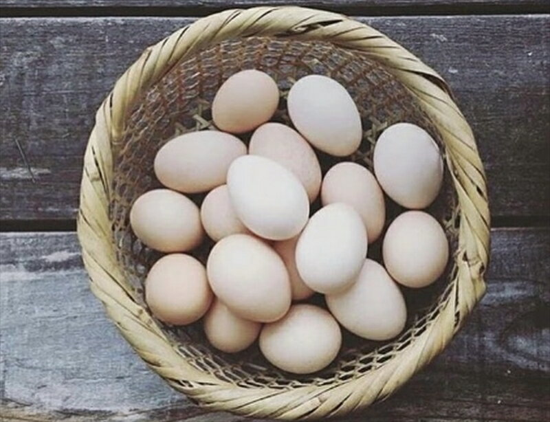 たまご 純卵 愛媛県 純たまご 昔懐かしい味わい 卵 まとめ買い 10個入 4パック