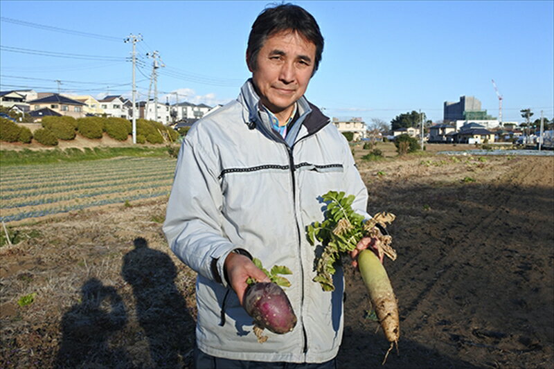 たまご 純卵 愛媛県 純たまご 昔懐かしい味わい 卵 まとめ買い 10個入 4パック