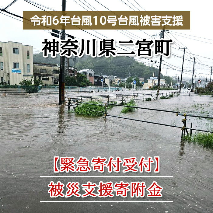 【令和6年台風10号被害支援緊急寄附受付】神奈川県二宮町災害応援寄附金（返礼品はありません）