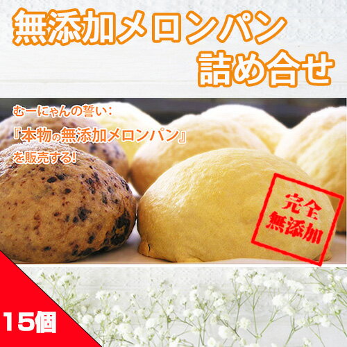 無添加メロンパン詰め合せ 15ヶ入り / めろんパン チョコ クリーム入り 国産小麦粉 送料無料 神奈川県 特産品