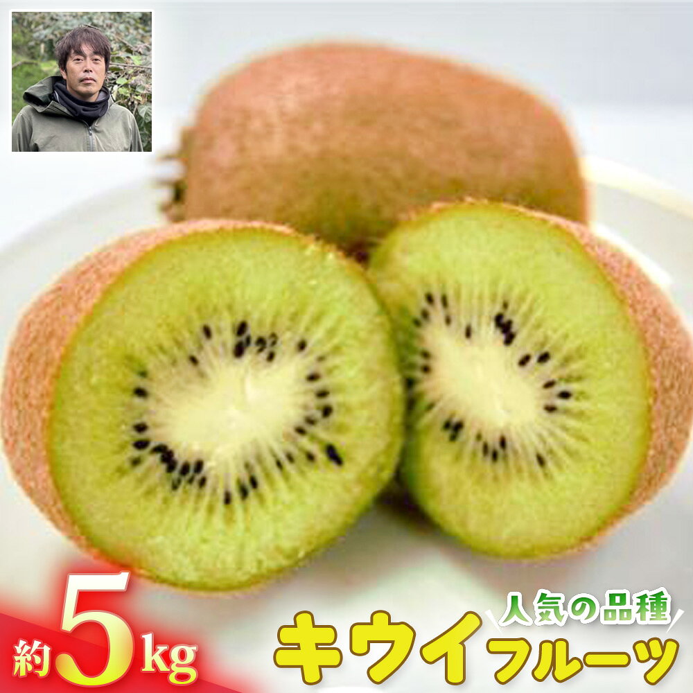 キウイフルーツ（ヘイワード） ／ キウイフルーツ キウイ ヘイワード 甘酸っぱい 甘み 酸味 果肉 緑色 ジューシー 国産キウイ 国産フルーツ 農薬未使用 果物 フルーツ No.119