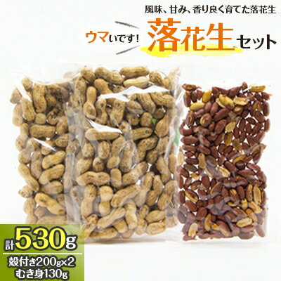 落花生セット(殻付き200g×2/むき身130g×1)【1058254】