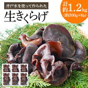 【ふるさと納税】井戸水を使って作られた生きくらげ 約1.2kg(約200g×6p)【配送不可地域:離島】【1139807】