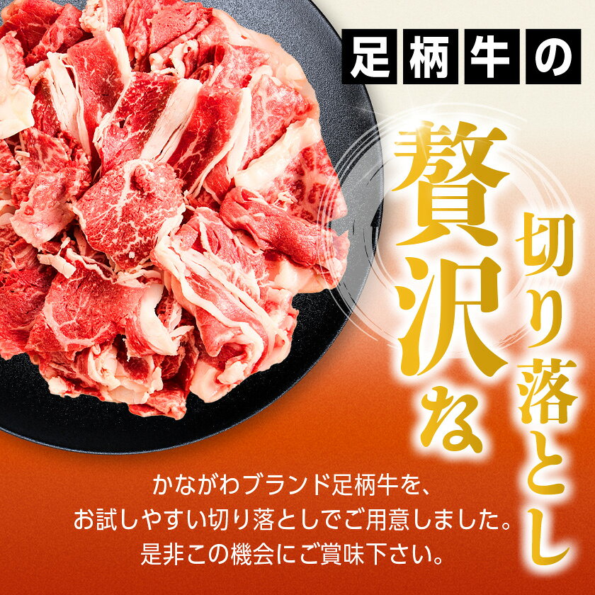 【ふるさと納税】足柄牛【焼肉・しゃぶしゃぶ用】切り落とし500g_ 牛肉 切り落とし 足柄牛 国産 ブランド牛 牛 肉 お肉 切り落し 500g 焼肉 焼き肉 しゃぶしゃぶ 惣菜 おかず BBQ バーベキュー 神奈川県 冷凍 ギフト プレゼント 送料無料 【配送不可地域：離島】【1507076】 f143626-oi-10000137 神奈川県大井町 サンプル画像3