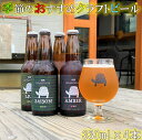 【ふるさと納税】神奈川県のクラフトビール【Garapago racing】オススメ4本セット
