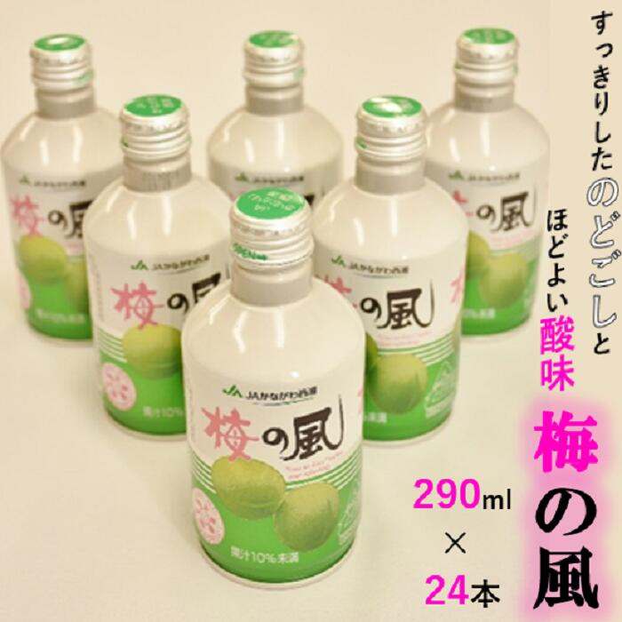 JAかながわ西湘 梅の風(清涼飲料水)290ml×24缶
