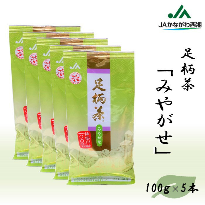 【足柄茶】みやがせ500g（100g×5本）