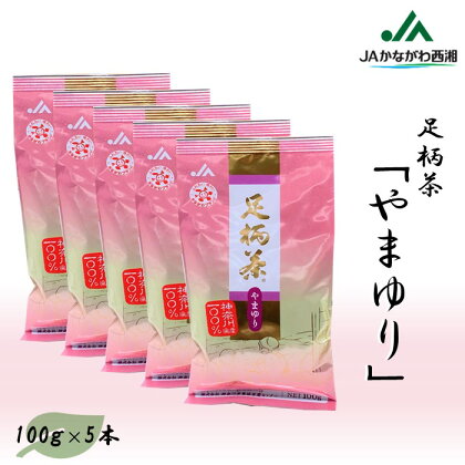 足柄茶【上級】やまゆり500g（100g×5本）