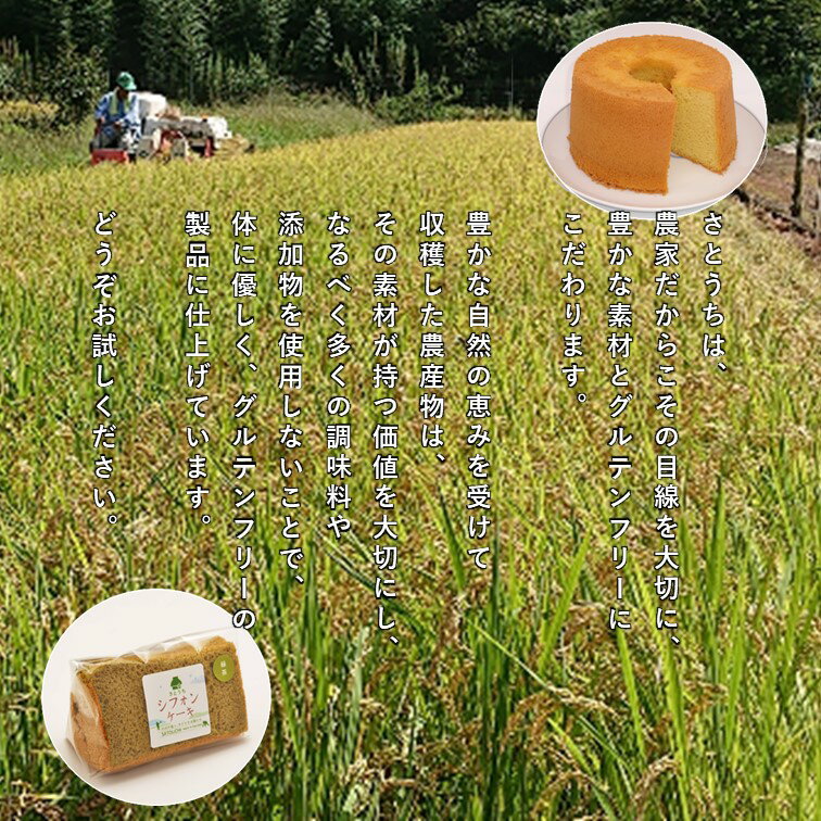 【ふるさと納税】米粉のシフォンケーキ緑茶（ホール）