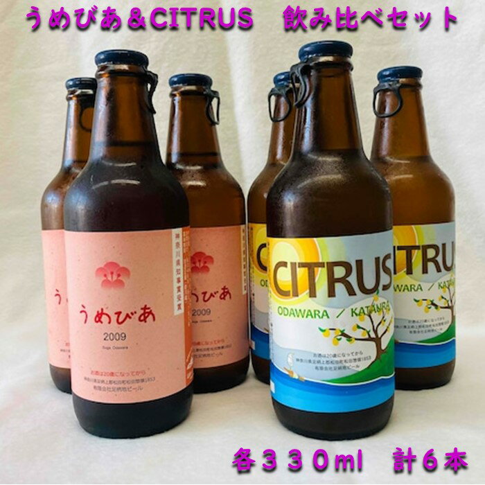 【ふるさと納税】クラフトビール飲み比べセット「足柄ハッピーモルトうめびあ＆CITRUS」330ml×6本