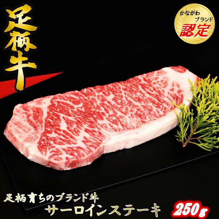 【ふるさと納税】かながわブランド【足柄牛】サーロインステーキ250g
