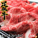 【ふるさと納税】足柄牛【焼肉・しゃぶしゃぶ用】切り落とし50