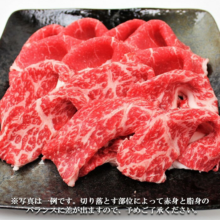 【ふるさと納税】足柄牛【焼肉・しゃぶしゃぶ用】切り落とし500g