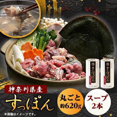 【ふるさと納税】神奈川産すっぽん鍋丸ごと1匹(620g)&スープ2本(各180g)セット【配送不可地域:離島】【1361077】