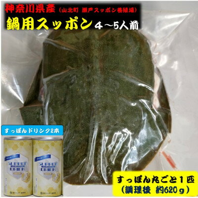 神奈川産すっぽん鍋丸ごと1匹(620g)&ドリンク2本(各180g)セット[配送不可地域:離島]