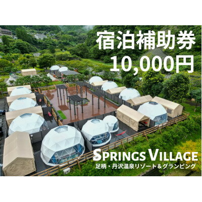 SPRINGS VILLAGE 足柄丹沢温泉リゾート&グランピング 宿泊補助券 10000円