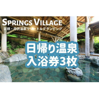 SPRINGS VILLAGE 足柄丹沢温泉リゾート&グランピング 日帰り温泉入浴券 大人3枚