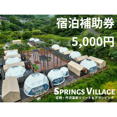 43位! 口コミ数「0件」評価「0」SPRINGS VILLAGE 足柄丹沢温泉リゾート&グランピング 宿泊補助券 5000円【1480503】