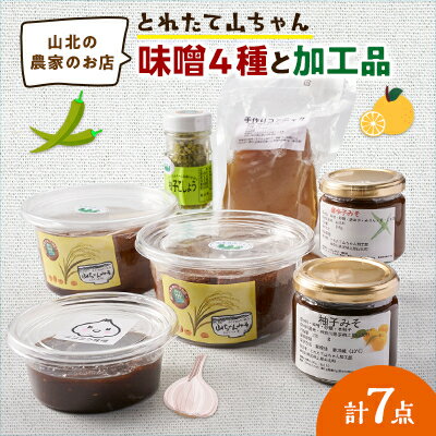 【ふるさと納税】とれたて山ちゃん味噌と加工品【配送不可地域:離島】【1559514】