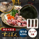 【ふるさと納税】【のし付き】神奈川県産すっぽん鍋(2〜3人前)300g&濃厚すっぽんスープ3本(各180g)セット【配送不可地域:離島】【1617523】