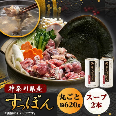 【ふるさと納税】【のし付き】神奈川産すっぽん鍋丸ごと1匹(620g)&濃厚すっぽんスープ2本(各180g)セット【配送不可地域:離島】【1617525】