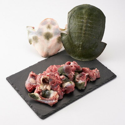【ふるさと納税】【のし付き】神奈川県産鍋用すっぽん丸ごと1匹(約620g)【配送不可地域：離島】【1617532】