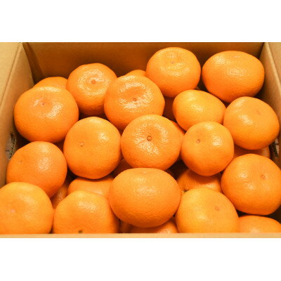 【ふるさと納税】大津みかん10kg【1687706】