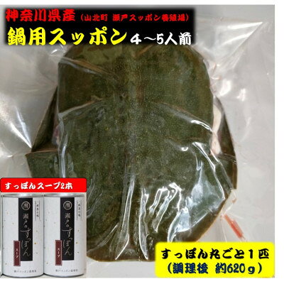 【2025年11月中旬発送】神奈川産すっぽん鍋丸ごと1匹(620g)&スープ2本(各180g)セット【配送不可地域：離島】【6674341】