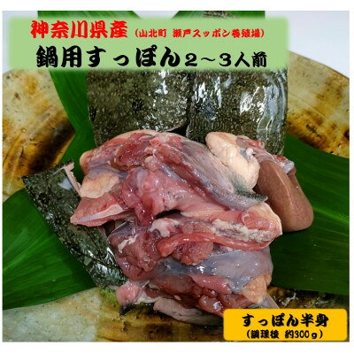 【2025年10月上旬発送】神奈川県産鍋用すっぽん(2～3人前 約300g)【配送不可地域：離島】【6675673】