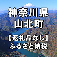 楽天ふるさと納税　【ふるさと納税】神奈川県山北町への寄付（返礼品はありません）