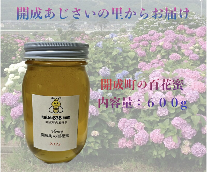 【ふるさと納税】【開成あじさいの里からお届け】開成町の百花ミツ　600g【 神奈川県 開成町 】