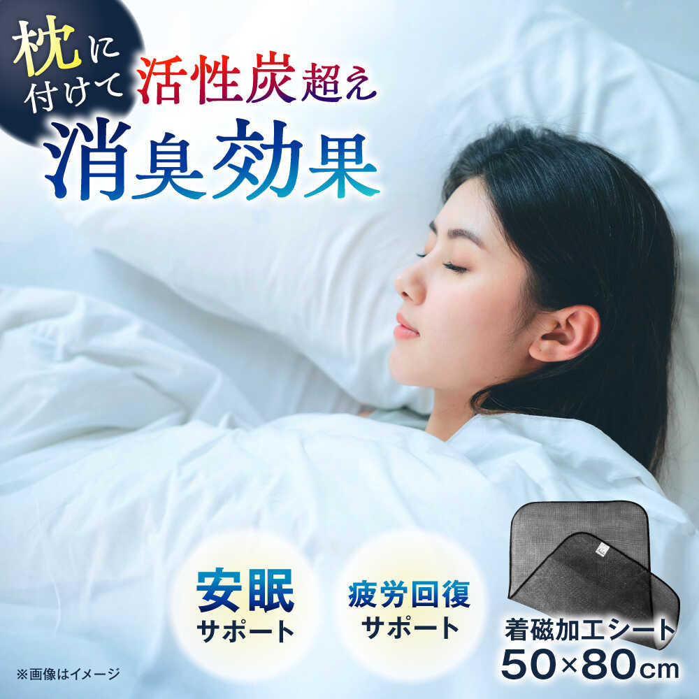 [磁力が快適な生活をお手伝い]ぴろ〜シート[サンキホーム有限会社]開成町[BDAE001]