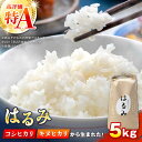 【ふるさと納税】【令和7年度新米】【特Aランク受賞実績あり!】はるみ 5kg【遠藤ファーム】開成町 米 ご飯 白米 お米 特A 神奈川県産 ..