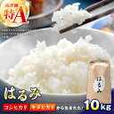 【ふるさと納税】【特Aランク受賞実績あり!】はるみ 10kg【遠藤ファーム】開成町 米 ご飯 白米 お米 特A 神奈川県産 ご飯 精米 袋 国産[BDAF002...
