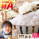 【ふるさと納税】【令和7年度新米】【特Aランク受賞実績あり!】はるみ 20kg(10kg×2袋)【遠藤ファーム】開成町 米 ご飯 白米 お米 特A ..