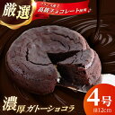 【ふるさと納税】【特選】ガトーショコラ (12cm 2人〜4人分) 【かいせい製菓】濃厚 チョコ ケーキ フランス産 高級チョコレート お菓子 ご褒美 スイーツ...
