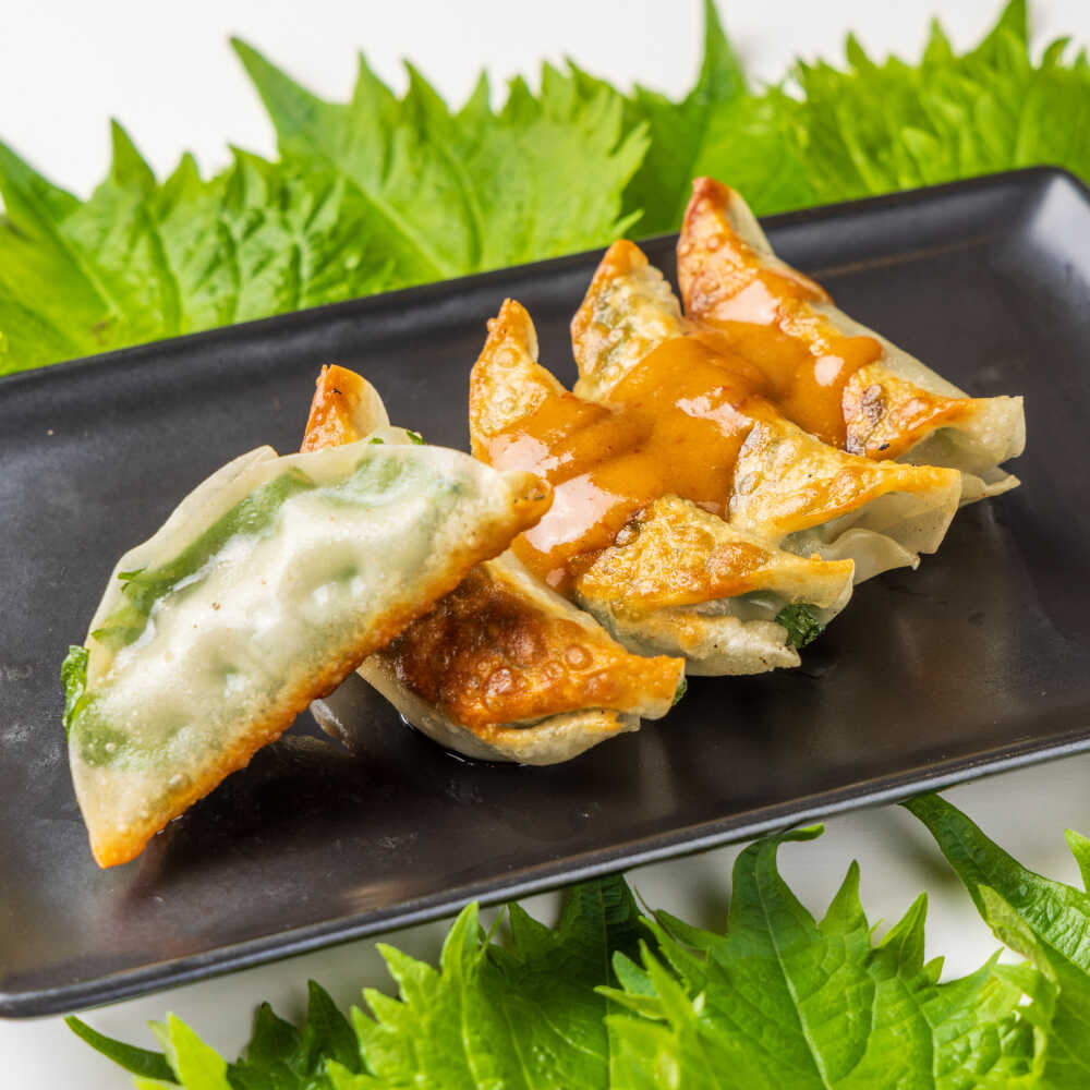 【ふるさと納税】【全3回定期便】【3パック】餃子屋ヒロの 人気のしそ餃子【餃子屋ヒロ】開成町 餃子 点心 惣菜 冷凍[BDAS010]