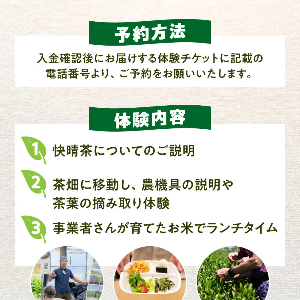 【ふるさと納税】【ランチ付き】「快晴茶」お茶摘み体験チケット[BDAT006]
