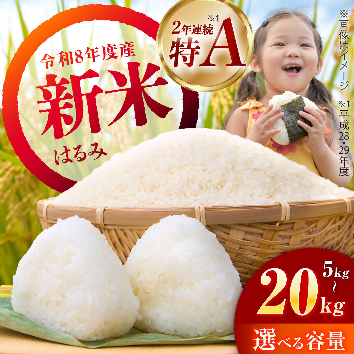 [先行予約]選べる容量![令和8年産新米][特Aランク受賞実績あり!]はるみ 5kg 10kg 20kg[井上農園] 米 お米 精米 白米 はるみ 新米 令和8年産[BDBB006]