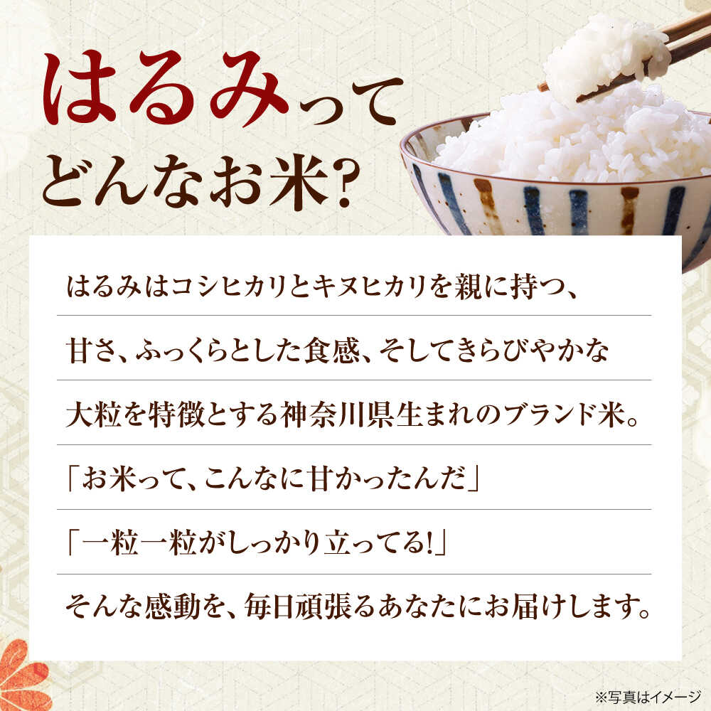 【ふるさと納税】【先行予約】【令和8年産】【特Aランク受賞実績あり！】新米 はるみ 5kg【なんかいファーム】 特A 白米 ブランド米 米 こめ コメ お米 ご飯 ごはん 米 お米 精米 白米 はるみ 新米 令和8年産 開成町 神奈川県 開成町産 [BDBD002] f143669-kaisei-10000403 神奈川県開成町 サンプル画像2