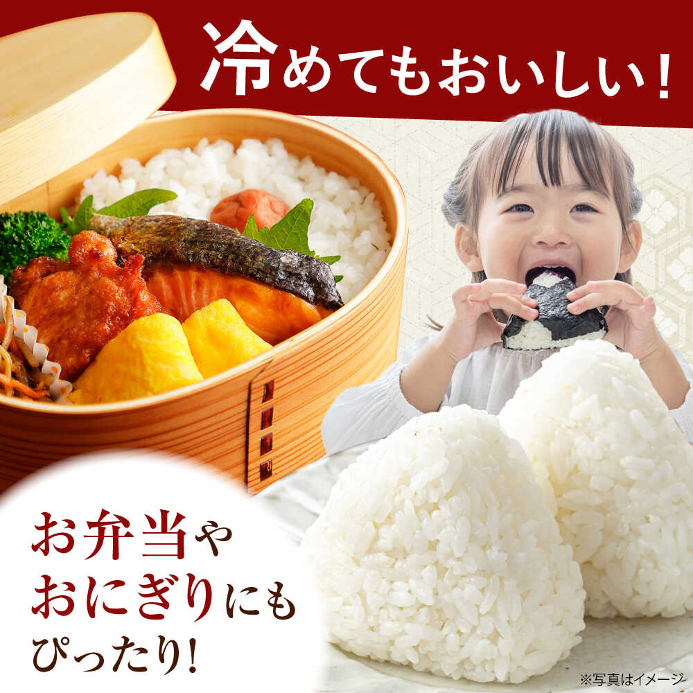 【ふるさと納税】【先行予約】【令和8年産】【特Aランク受賞実績あり！】新米 はるみ 5kg【なんかいファーム】 特A 白米 ブランド米 米 こめ コメ お米 ご飯 ごはん 米 お米 精米 白米 はるみ 新米 令和8年産 開成町 神奈川県 開成町産 [BDBD002] f143669-kaisei-10000403 神奈川県開成町 サンプル画像3