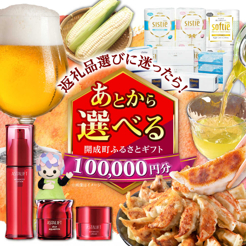 [あとから選べる]開成町ふるさとギフト 10万円分 あとから寄附 選べる寄附 ティッシュ トイレットペーパー 化粧品 餃子 体験 お茶 日本酒 定期便 神奈川 開成町[BDZZ007]