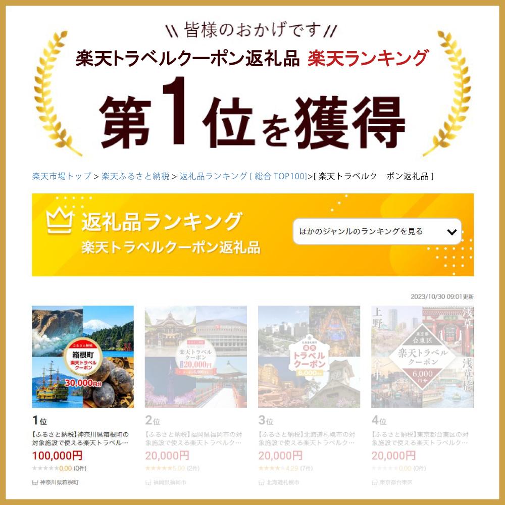 【ふるさと納税】神奈川県箱根町の対象施設で使える楽天トラベルクーポン 寄付額100,000円その2