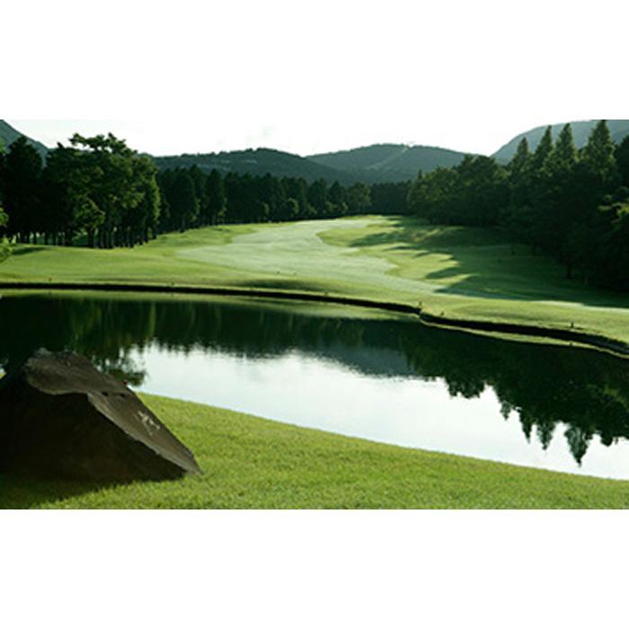 神奈川県箱根町の画像3