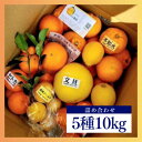 【ふるさと納税】みかん色々♪季節の柑橘詰合せ10kgいろんな種類が一箱に詰まった楽しいみかんBox【先行予約】【1531525】