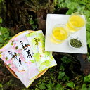 【ふるさと納税】相模湾のミネラルで育つ茶葉!香り豊かに、色鮮やかに♪初摘み新茶3袋セット【1617067】